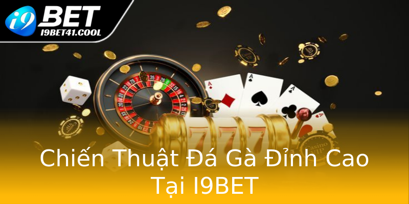 Chiến Thuật Đá Gà Đỉnh Cao Tại I9BET Chiến Thuật Đá Gà Đỉnh Cao Tại I9BET