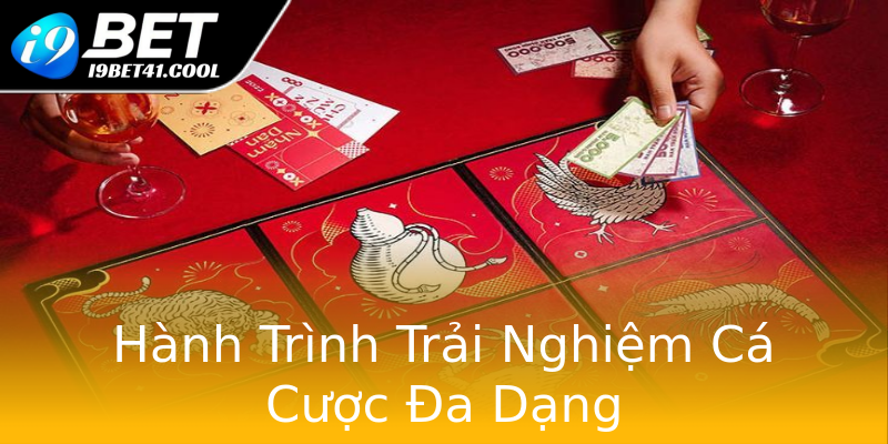 Hành Trình Trải Nghiệm Cá Cược Đa Dạng Hành Trình Trải Nghiệm Cá Cược Đa Dạng