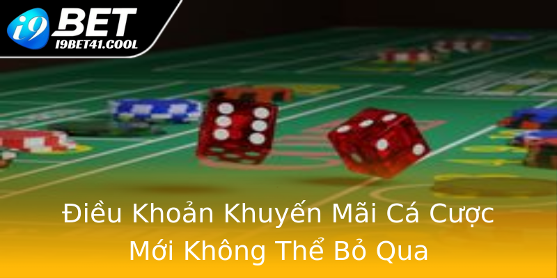 Điều Khoản Khuyến Mãi Cá Cược Mới Không Thể Bỏ Qua Điều Khoản Khuyến Mãi Cá Cược Mới Không Thể Bỏ Qua