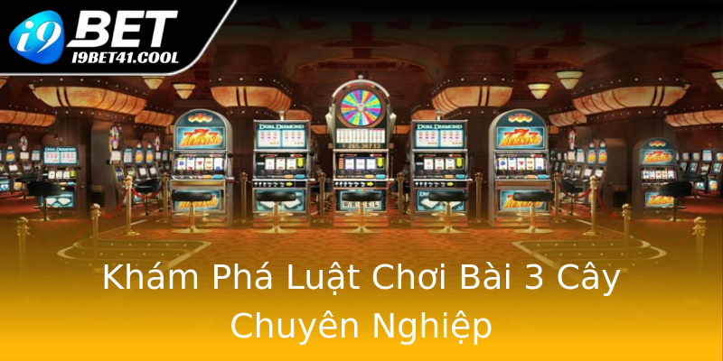 Khám Phá Luật Chơi Bài 3 Cây Chuyên Nghiệp Khám Phá Luật Chơi Bài 3 Cây Chuyên Nghiệp