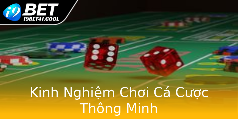 Kinh Nghiệm Chơi Cá Cược Thông Minh Kinh Nghiệm Chơi Cá Cược Thông Minh