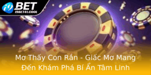 Mo Thay Con Ran Giac Mo Mang En Kham Pha Bi An Tam Linh