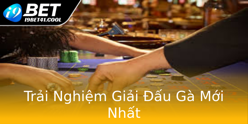 Trải Nghiệm Giải Đấu Gà Mới Nhất Trải Nghiệm Giải Đấu Gà Mới Nhất